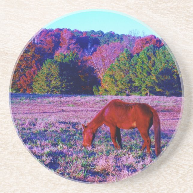 Brown horse in Purple Grass Coaster (Front)