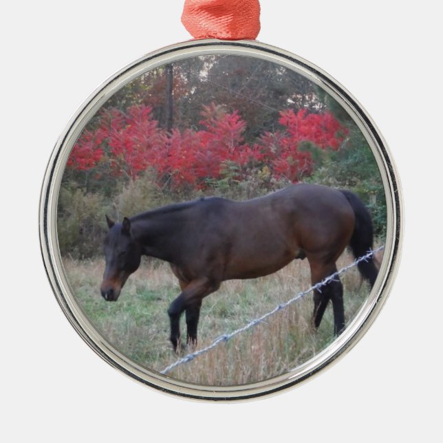Brown horse in the red autumn trees metal tree decoration (Front)