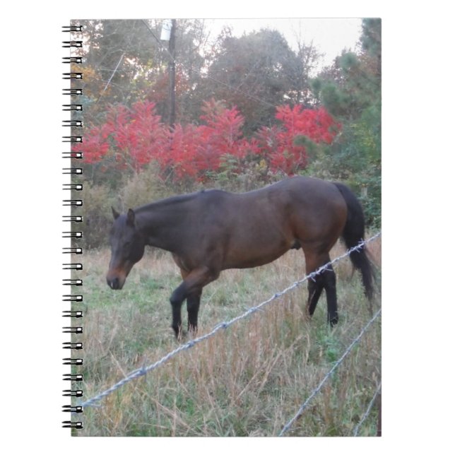 Brown horse in the red autumn trees notebook (Front)
