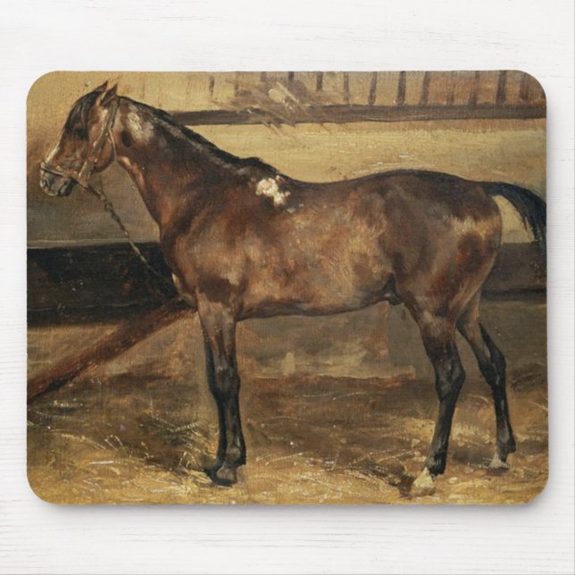 Brown Horse in the Stable Stalls Mouse Pad (Front)