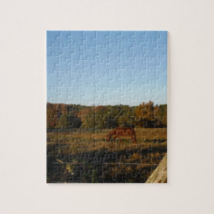 Brown horse in the Sun Jigsaw Puzzle