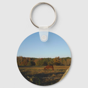 Brown horse in  the Sun Key Ring
