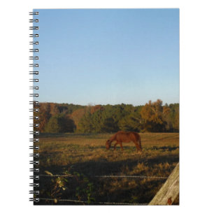 Brown horse in  the Sun Spiral Notebook