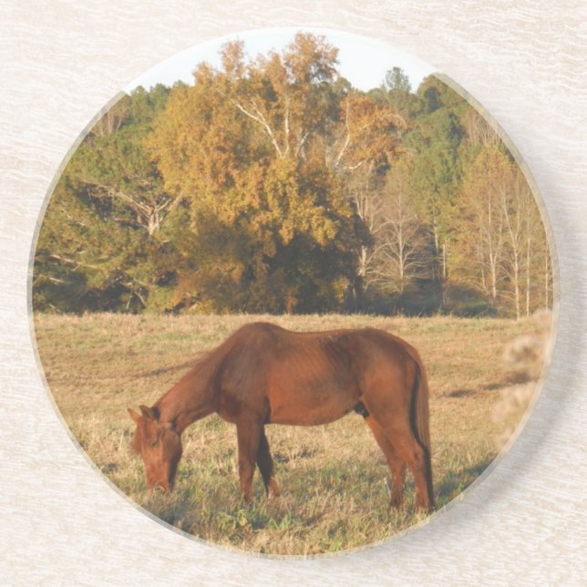 Brown horse in  yellow tree field coaster (Front)