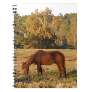 Brown horse in yellow tree field spiral notebook