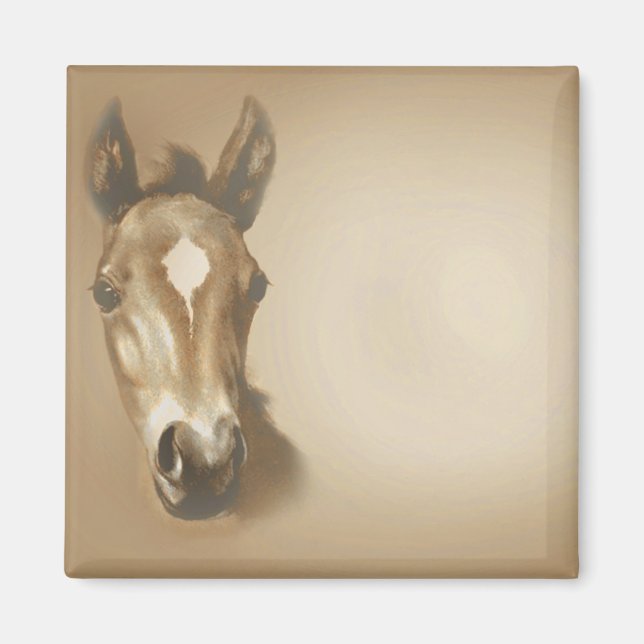 BROWN-HORSE MAGNET (Front)