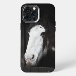 Brown Horse on Farm iPhone 13 Pro Max Case