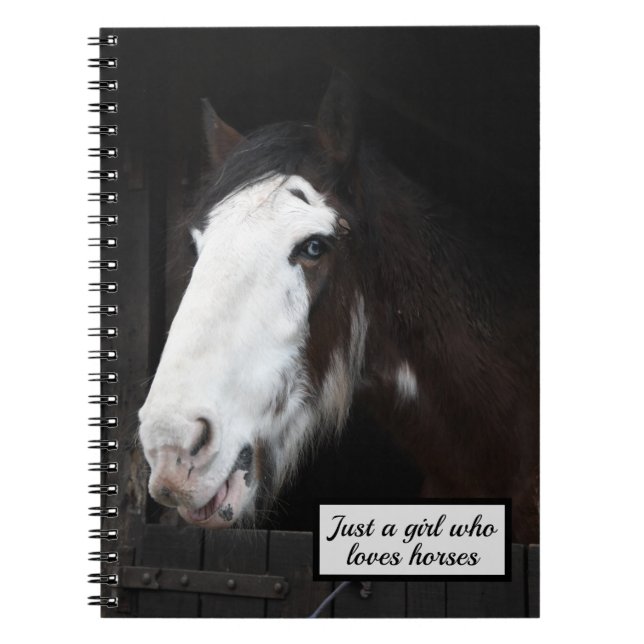 Brown Horse on Farm Just a Girl who Loves Horses Notebook (Front)