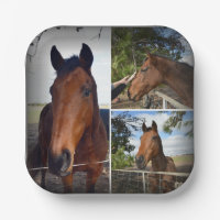 Brown Horse Photo Collage, Paper Plates