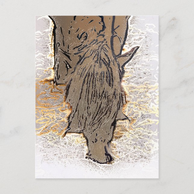 BROWN HORSE   POSTCARD (Front)