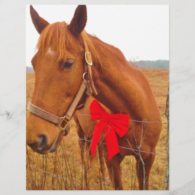Brown Horse Red Bow (Front)