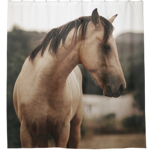 BROWN HORSE SHOWER CURTAIN (Front)