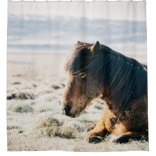 BROWN HORSE SITTING ON GRASS NEAR BEACH SHOWER CURTAIN