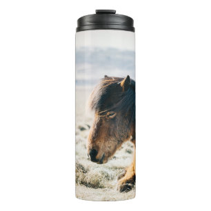 BROWN HORSE SITTING ON GRASS NEAR BEACH THERMAL TUMBLER