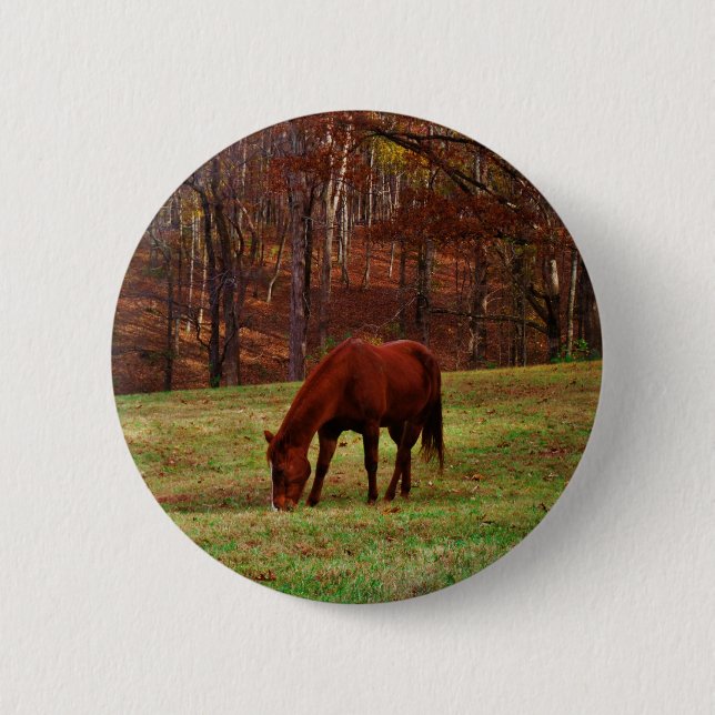 Brown Horse w/ White Nose at Woods Edge 6 Cm Round Badge (Front)