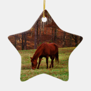 Brown Horse w/ White Nose at Woods Edge Ceramic Tree Decoration