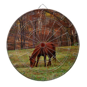 Brown Horse w/ White Nose at Woods Edge Dartboard