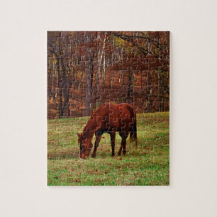 Brown Horse w/ White Nose at Woods Edge Jigsaw Puzzle