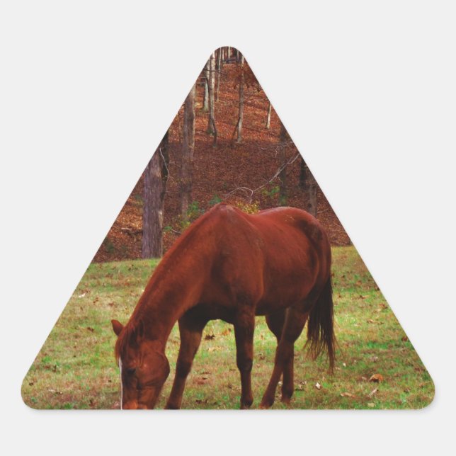 Brown Horse w/ White Nose at Woods Edge Triangle Sticker (Front)