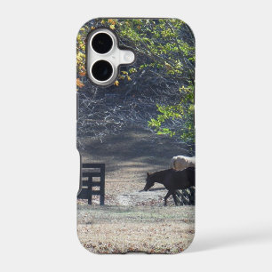 Brown Horse walking through Fence