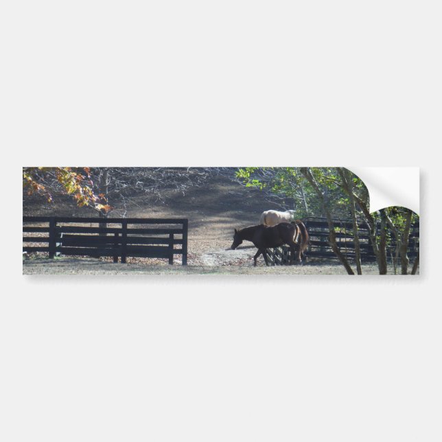 Brown Horse walking through Fence Bumper Sticker (Front)