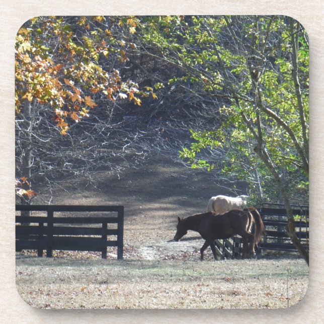 Brown Horse walking through Fence Coaster (Front)