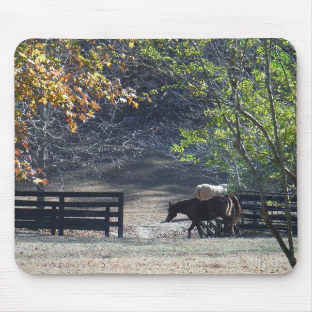 Brown Horse walking through Fence Mouse Pad (Front)