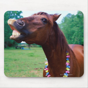 Brown horse wearing necklace, baring teeth, mouse pad