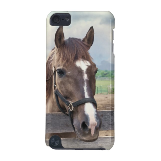 Brown Horse with Bridle Customisable iPod Touch (5th Generation) Case (Back)