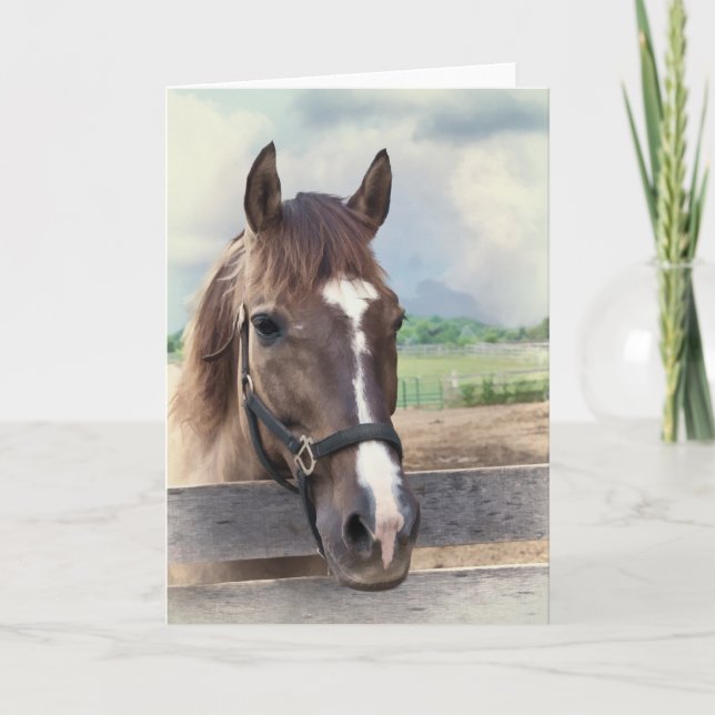 Brown Horse with Bridle Note or Greeting Card (Front)