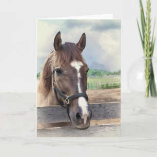 Brown Horse with Bridle Note or Greeting Card