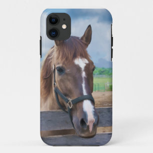 Brown Horse with Halter Case-Mate iPhone Case
