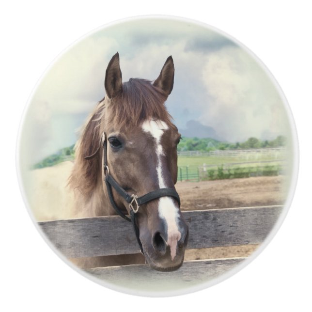 Brown Horse with Halter Ceramic Knob (Front)