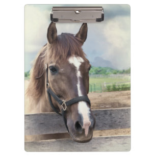 Brown Horse with Halter Clipboard