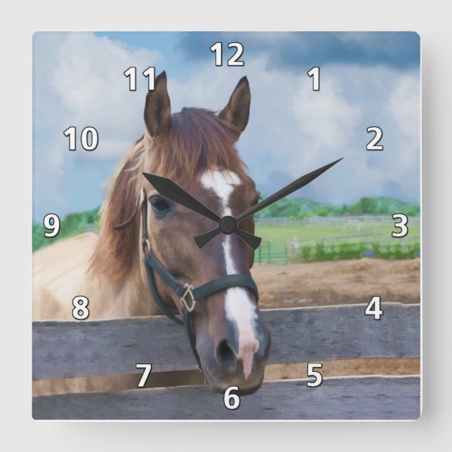 Brown Horse with Halter Square Wall Clock (Front)