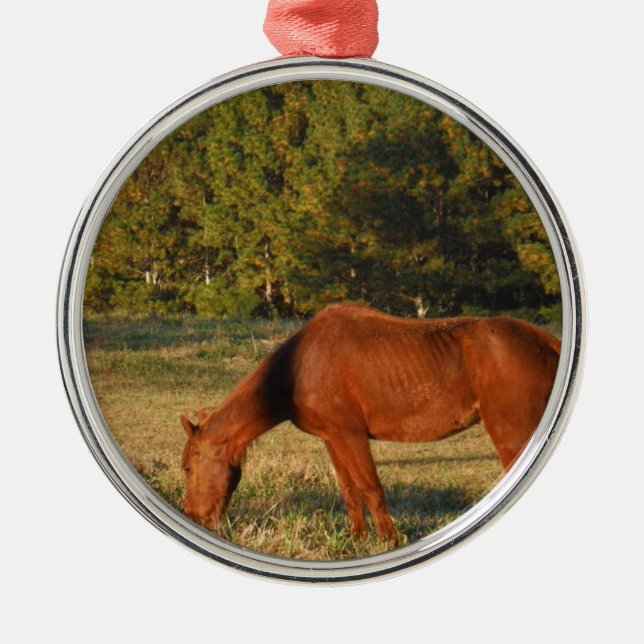 Brown Horse with Pine Trees Metal Tree Decoration (Front)