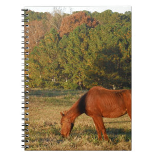Brown Horse with Pine Trees Spiral Notebook