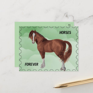 Brown Horse with Postage Stamp Look Postcard