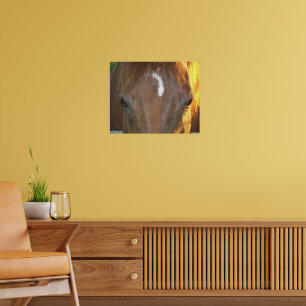 Brown Horse with White Face Marking Photographic Poster