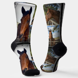 Brown Horses Photo Collage, Crew Socks