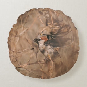 Brown House Sparrow Birds Nature Photography Round Cushion