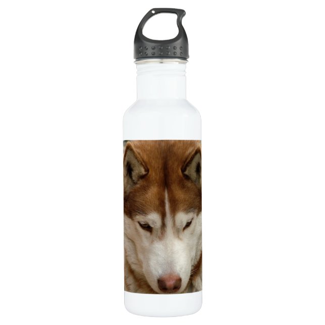 Brown Husky 710 Ml Water Bottle (Front)