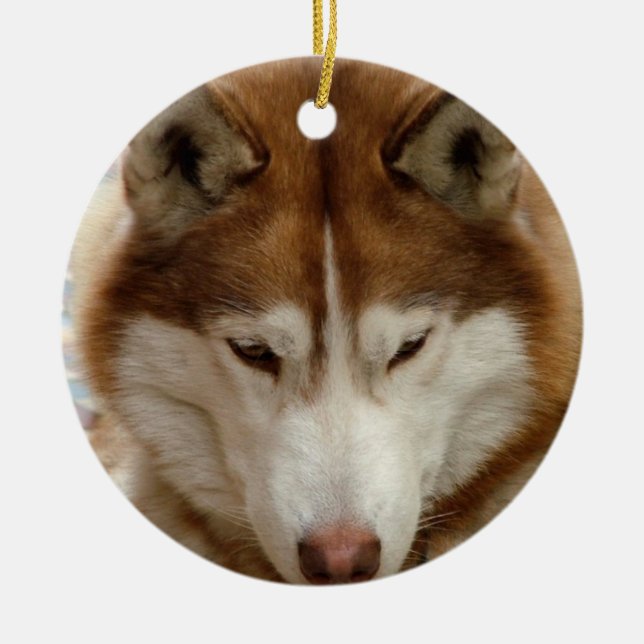 Brown Husky  Ornament (Front)