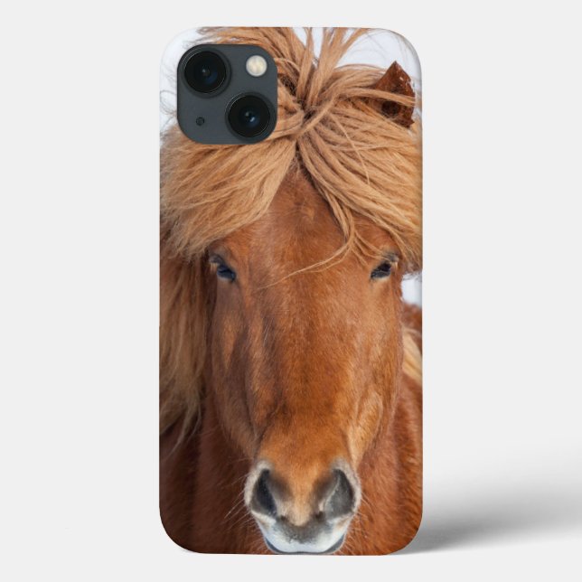 Brown Icelandic Horse Portrait Case-Mate iPhone Case (Back)