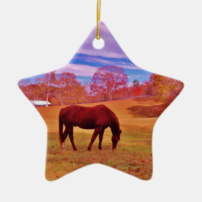 > Brown in a dreamy coloured field Ceramic Tree Decoration (Front)