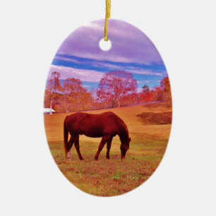 > Brown in a dreamy coloured field Ceramic Tree Decoration