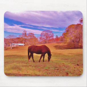 > Brown in a dreamy coloured field Mouse Pad