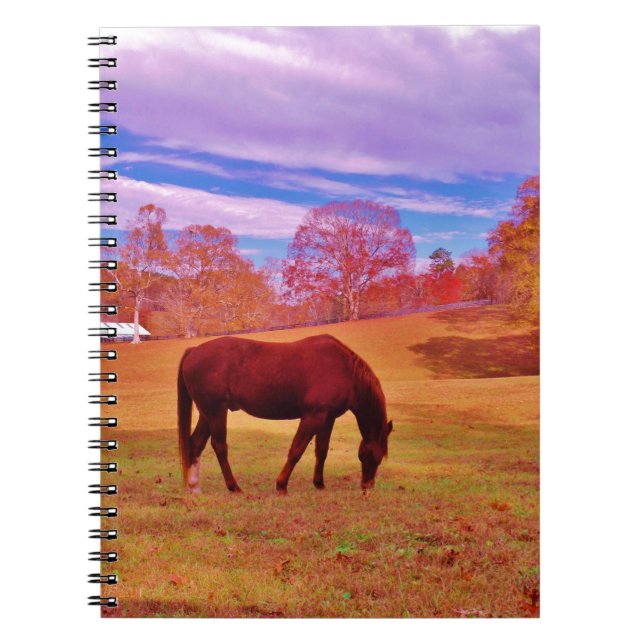 > Brown in a dreamy coloured field Spiral Notebook (Front)
