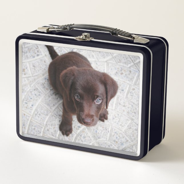 Brown Lab Puppy Metal Lunch Box (Front)