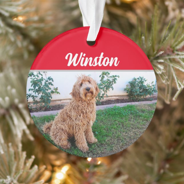 Brown Labradoodle Dog with Name Photo Christmas Ornament (Tree)